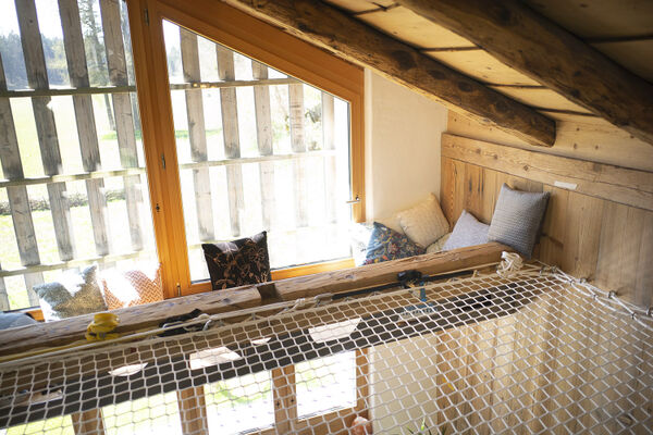 no5-chambre.hote-jura-franches-montagnes-chambre-etage-05.jpg